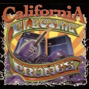 Download track Running With Scissors The Electric Prunes