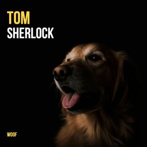 Download track One Night At A Time Tom Sherlock