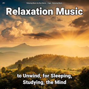 Download track Relaxing Music To Help You Sleep Relaxing Music