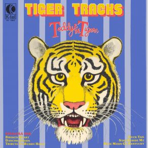 Download track Vacation'S Over Teddy & The Tigers