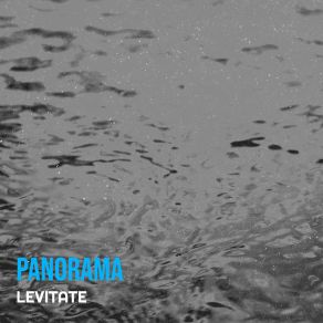 Download track Panoramic View Levitate