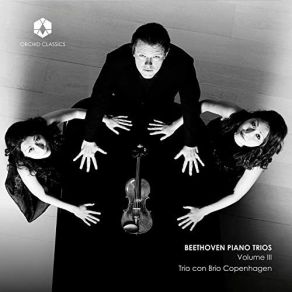 Download track 04. Piano Trio In C Minor, Op. 1 No. 3- IV. Finale. Prestissimo Ludwig Van Beethoven