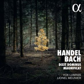 Download track Magnificat In D Major, BWV 243: Aria