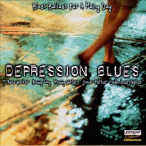 Download track I Woke Up This Morning T - Bone Walker