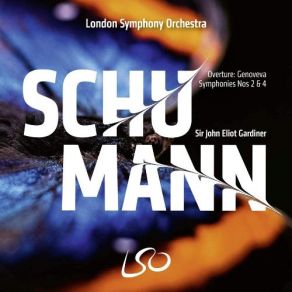 Download track Symphony No. 4 In D Minor - I. Andante Con Moto - Allegro Di Molto John Eliot Gardiner, Robert Schumann, London Symphony Orchestra