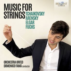 Download track Variations On A Theme By Tchaikovsky, Op. 35a VII. Var. VI. Allegro Con Spirito Domenico Famà