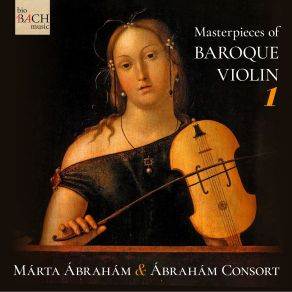 Download track Violin Concerto In B Minor In B Minor, RV 387 Per Signora Anna Maria III. Allegro Márta Ábrahám, Ábrahám Consort