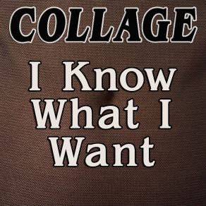 Download track I Know What I Want (Emeis Radio Edit) CollageEmeis