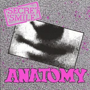 Download track Finish What We Started Secret Smile