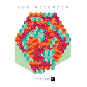 Download track The Trouble Ace Reporter