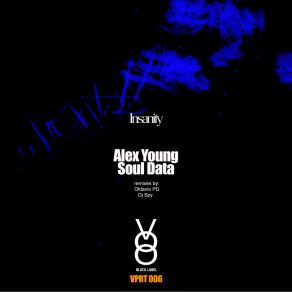 Download track Insanity (Dj Spy Deep Dub Remix) Data SoulDj Spy