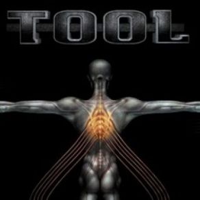 Download track Message To Harry Manback II Tool$