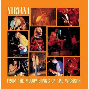 Download track Aneurysm (Live California) Nirvana, Kurt Cobain