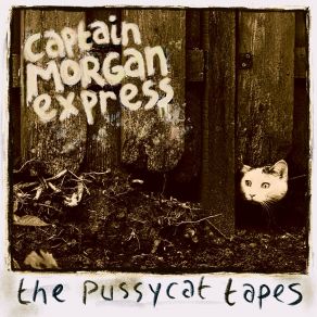 Download track I'm Just Your Fool Captain Morgan Express