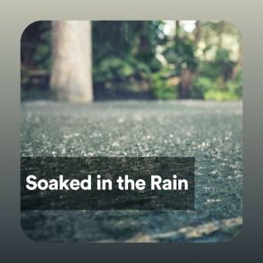 Download track Rain Is Refreshing Night Rain