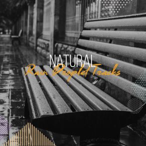 Download track Rain Sound: Relaxing Sleep Music Deep Rain Sampling