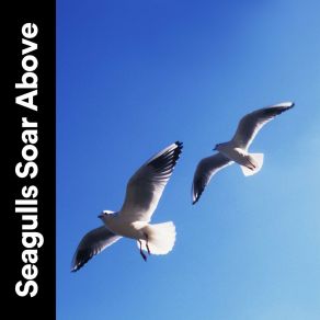 Download track Learning How To Move Like The Waves Ocean Sounds