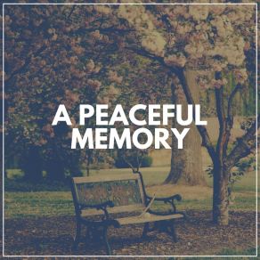 Download track Simple Mind Zen Minds