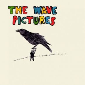 Download track Shell The Wave Pictures