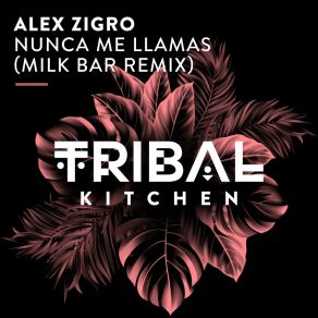 Download track Nunca Me Llamas (Milk Bar Remix) Alex ZigroMilk Bar