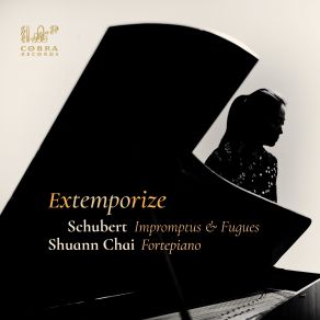 Download track Four Impromptus, D 935, Op. 142, No. 3 In B-Flat Major: Theme (Andante) With Variations Shuann ChaiAndante