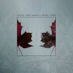 Download track Learning To Love Wire Love