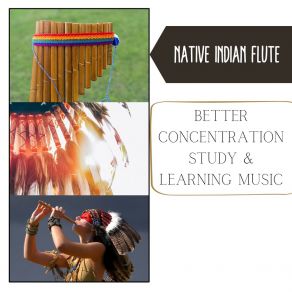Download track Ethnic Soundscapes (Canyon Sound) Native Indian Flute