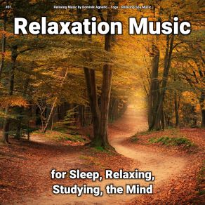 Download track Relaxing Music To Help Fall Asleep Relaxing Spa Music