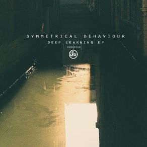Download track Deep Learning Symmetrical Behaviour