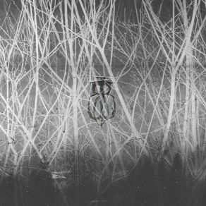 Download track (Take A Break) Sit On The Droning Stone The Flesh Full Of Black Sand