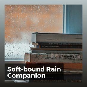 Download track Raining In Pro Sound Effects Library