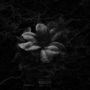 Download track Mail Real Tahj