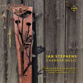 Download track Springhead Echoes: I. Tranquillo Jonathan Small, Fitzwilliam String Quartet, Mandy Burvill