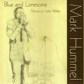 Download track I Got To Find My Baby Mark Hummel