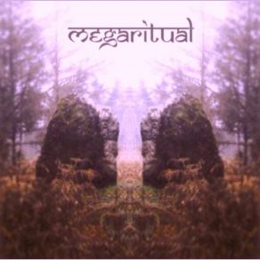 Download track Is The Sound Of One Hand Clapping A Tree Falling In The Woods? Megaritual