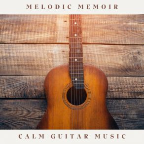 Download track Negative Harmony Notion Calm Guitar Music