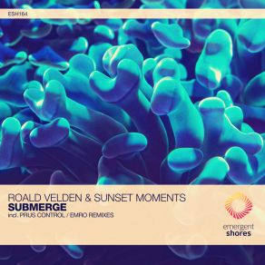 Download track Submerge (Prus Control Remix) EmroPrus Control