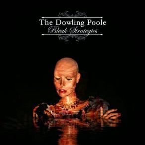Download track Clean The Dowling Poole