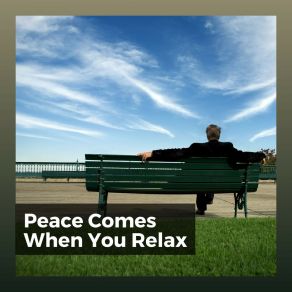 Download track Won't Stop For Anyone Best Relaxing Music