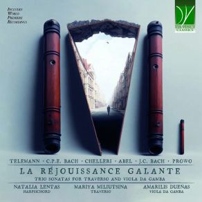 Download track Sonata In B-Flat Major, WKO 110d, A5: 5A: II. Allegro (For Flute, Viola Da Gamba And Basso Continuo) Amarilis Dueñas, Natalia Lentas, Mariya Miliutsina
