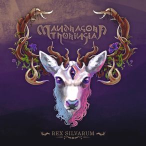 Download track Amygdala Mandragora ThuringiaDom R. Crey