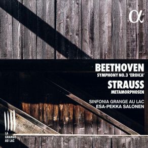 Download track 05 - IV. Finale (Allegro Molto) Ludwig Van Beethoven