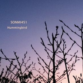 Download track A Hummingbird Hovering In The Sonmi45