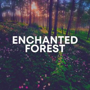 Download track Raining Sounds On Repeat Recording Nature
