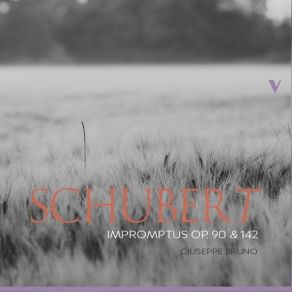 Download track 06.4 Impromptus, Op. 142, D. 935 No. 2 In A-Flat Major Franz Schubert