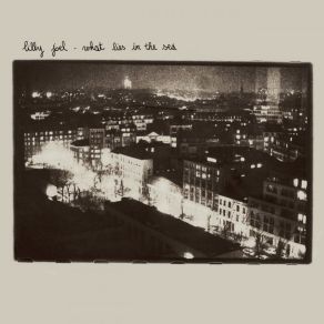 Download track Today A Small Bird Died Due To Sadness (He Was 6 Years Old) Lilly Joel