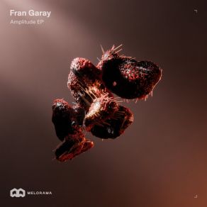Download track Modularity Fran Garay