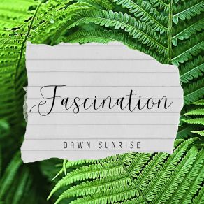 Download track Concealed Dawn Sunrise