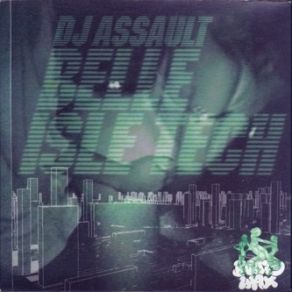 Download track Big Booty Hoes And Sluts Too DJ Assault
