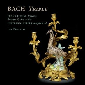Download track 12. Bach Concerto For Traverso, Violin And Harpsichord In A Minor, BWV 1044 I. Allegro Johann Sebastian Bach